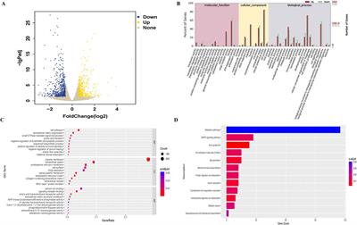 GYY4137, as a slow-releasing H2S donor, ameliorates sodium deoxycholate–induced chronic intestinal barrier injury and gut microbiota dysbiosis